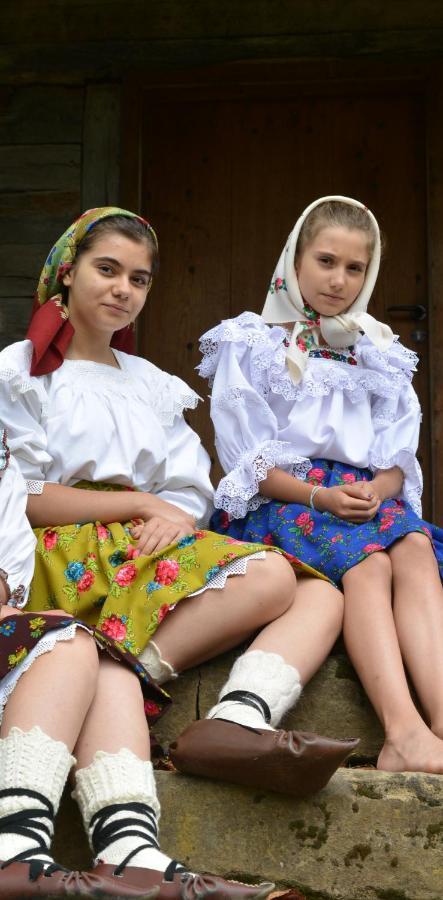 La Mona Διαμέρισμα Bîrsana Εξωτερικό φωτογραφία